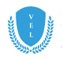 VEL Institute